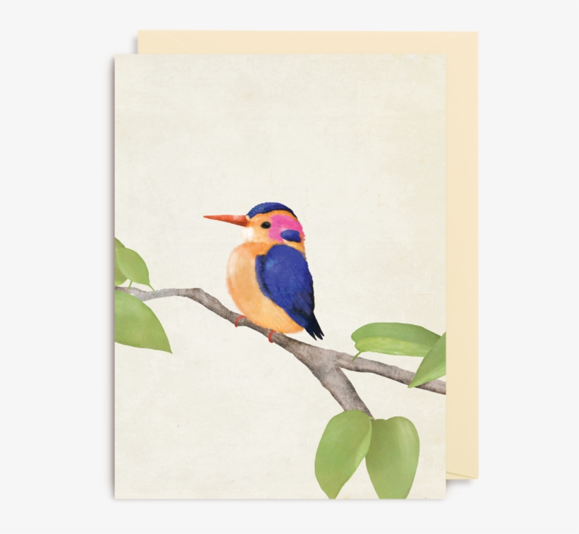 Kingfisher Mini Card - Wenskaart Carrie May, transparent png download