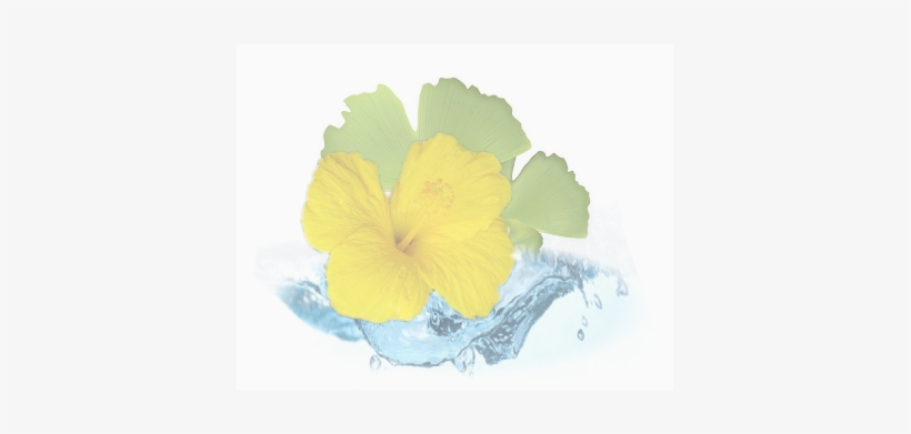 Biofluid Eyes And Lips With Hyaluronic Acid - Ginko Biloba, transparent png download