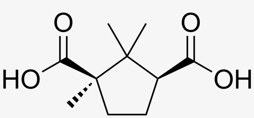 Camphoric Acid - 4 Hydroxyphenylpyruvate, transparent png download