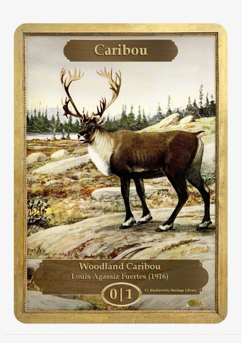 Caribou Token By Louis Agassiz Fuertes - Mtgo Caribou Token, transparent png download