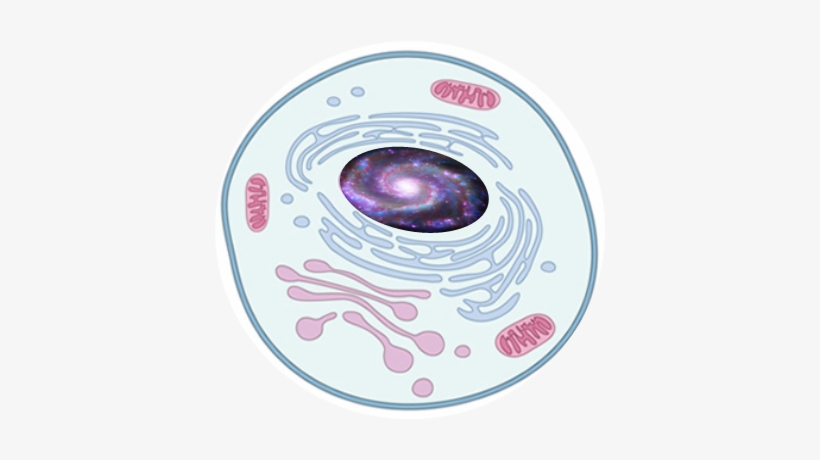 The Unknown Of The Outer Space Fascinates Humankind - General Knowledge, transparent png download