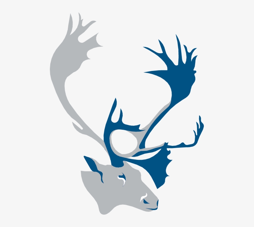 About Us M14079 Caribou Glass Logo Image Only - Caribou Logo, transparent png download