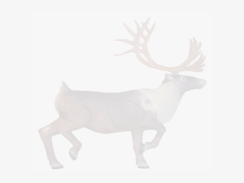 Rates Vary By Cabin Type And Season - Elk, transparent png download