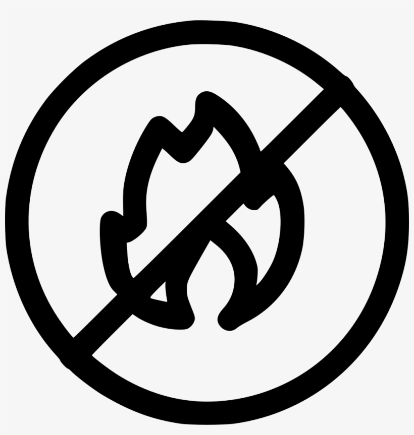 Fire Heat Blaze Bonfire Combustion Smoke Not Allow - Toronto No Live Animals Allowed, transparent png download