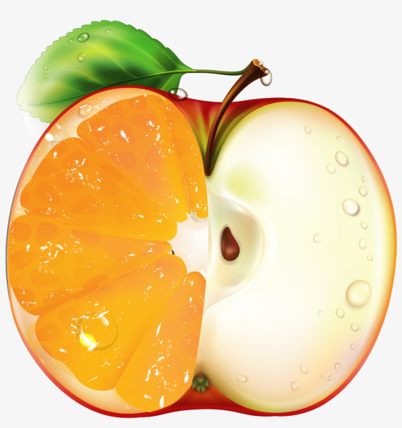 Logo - Genetically Modified Organism, transparent png download