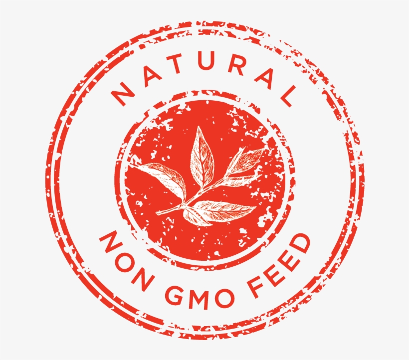 Close - Circle, transparent png download