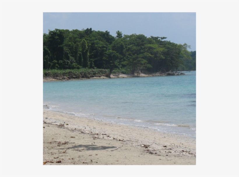 1 Jamaica Pic 1 - Beach Ridge, transparent png download