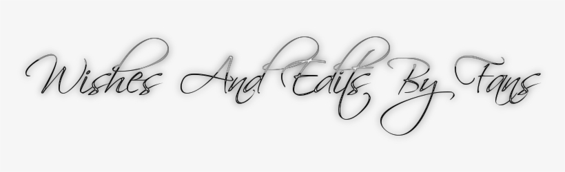 We Gathered Some Birthday Wishes From Your Fans On - Lilly Bridge, transparent png download