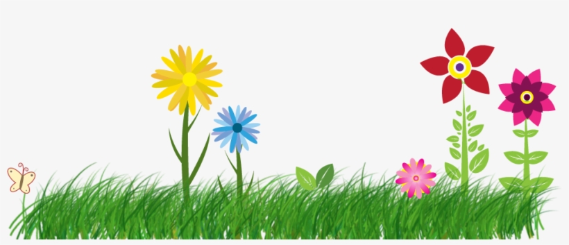 Landscape Flowers Png - African Daisy, transparent png download