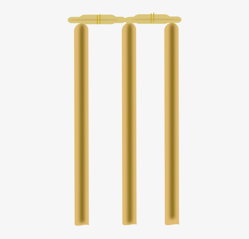 Medium Image - Wicket Png, transparent png download
