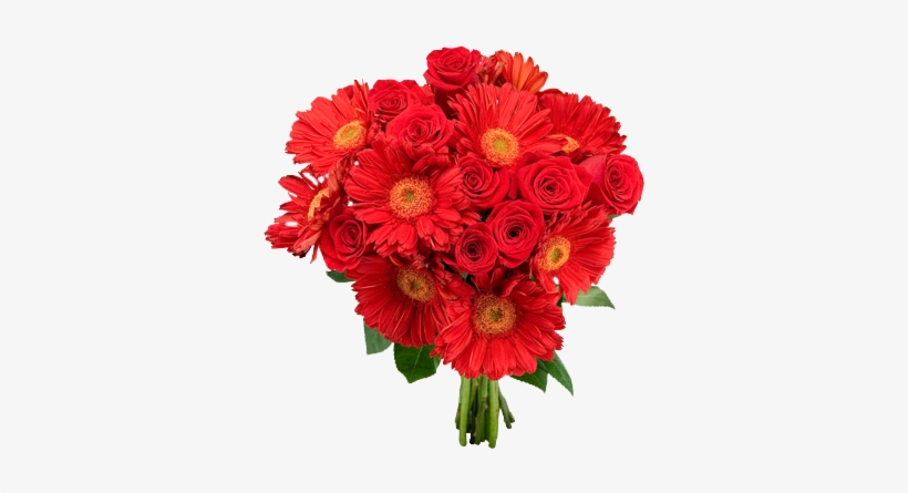 Welcome To Roshini Scheme Registration In Apobmms - Roses In A Vase, transparent png download