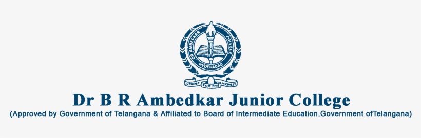 Baddi University Of Emerging Sciences And Technologies - Dr Br Ambedkar Junior College Logo, transparent png download