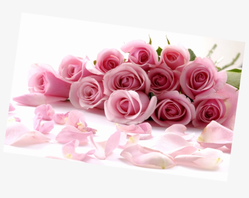 Beautiful Wallpapers For Desktop Of Roses, transparent png download
