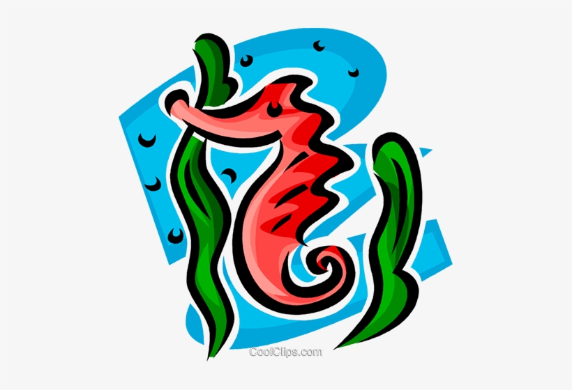 Sea Horse Royalty Free Vector Clip Art Illustration - Graphic Design, transparent png download