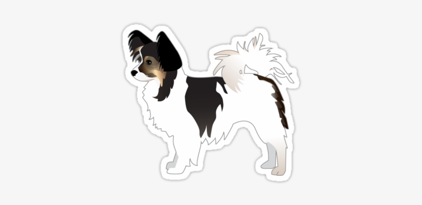 Image Black And White Library Tri Color Basic Breed - Chihuahua, transparent png download