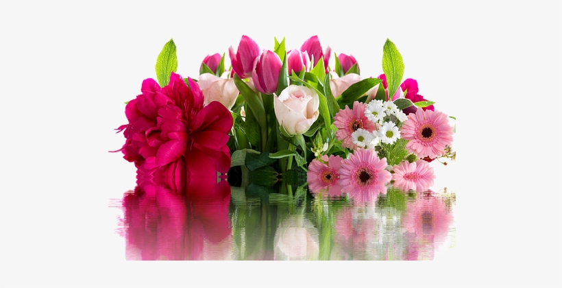 Roses, Gerbera, Flowers, Blossom, Bloom - Pixabay Fleur, transparent png download