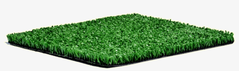 Champion Emerald Cricket Pitch 10mm - Lawn, transparent png download
