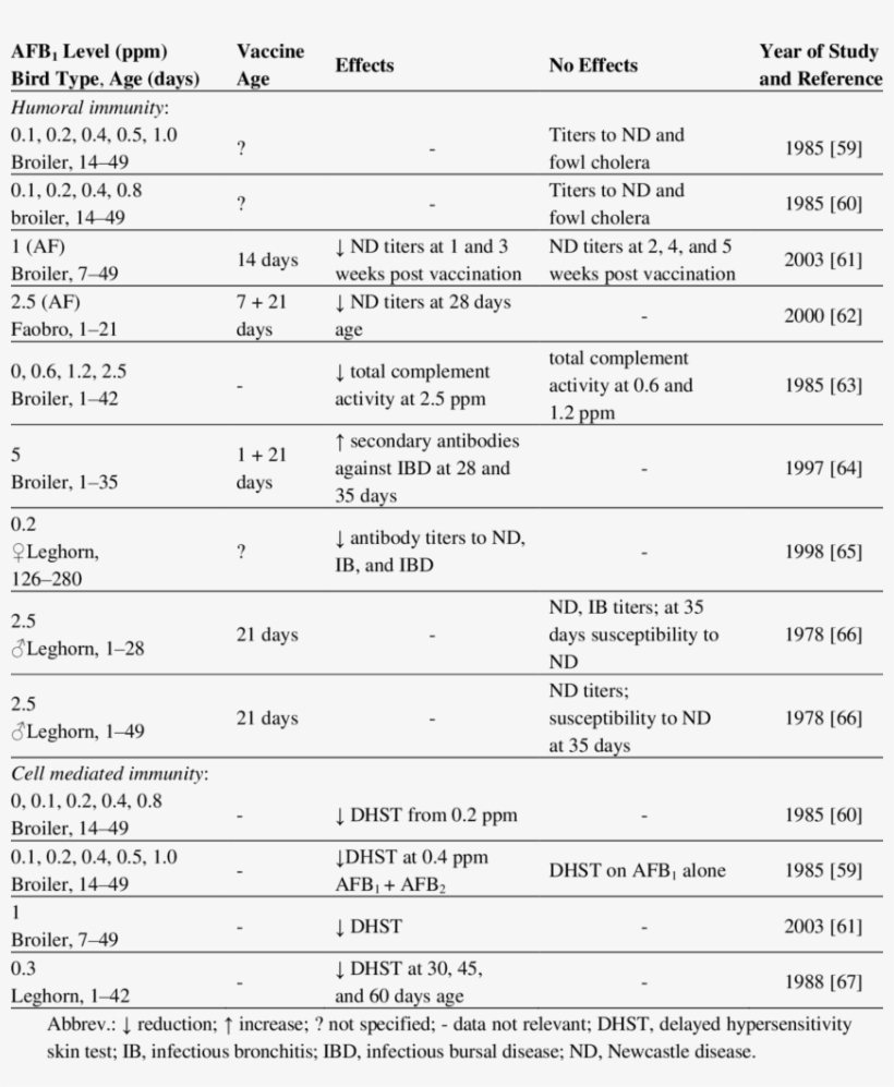 Effects Of Afb 1 On Humoral And Cell Mediated Immunity - Humoral Immunity, transparent png download