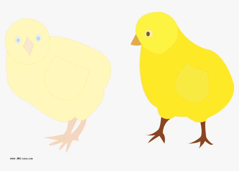 Chicken, transparent png download