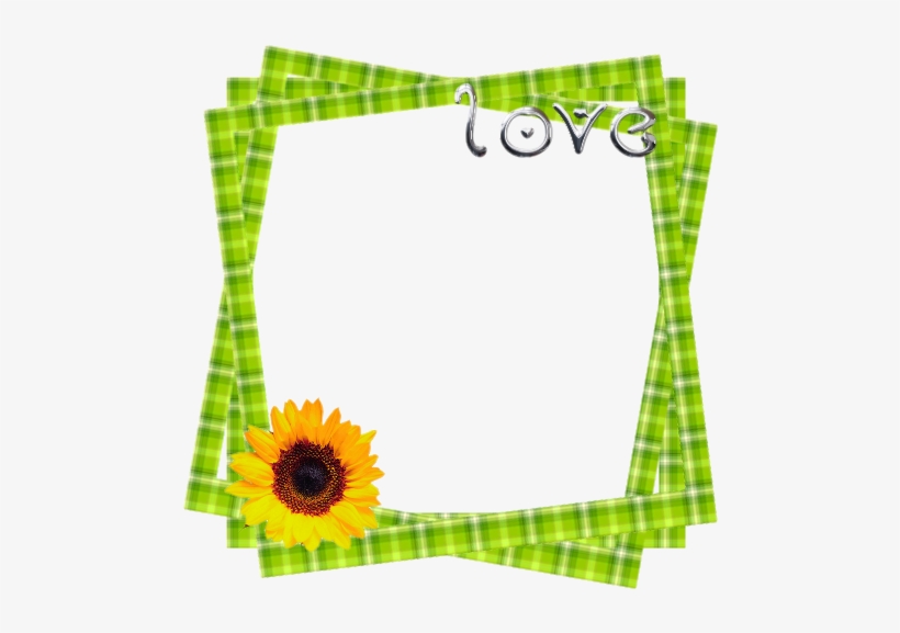 Love, Happiness And Other Lies My Mother Told Me, transparent png download