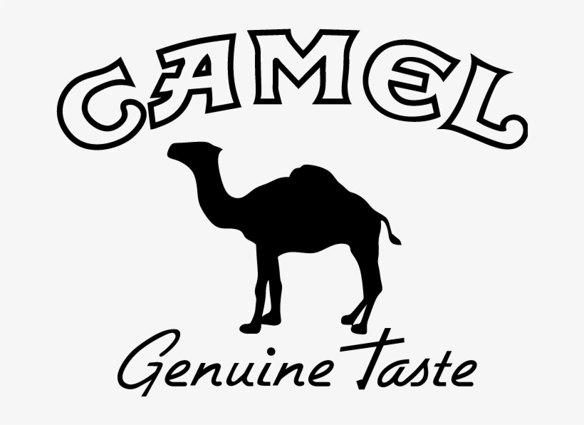 Free Vector Camel Logo - Camel Logo, transparent png download