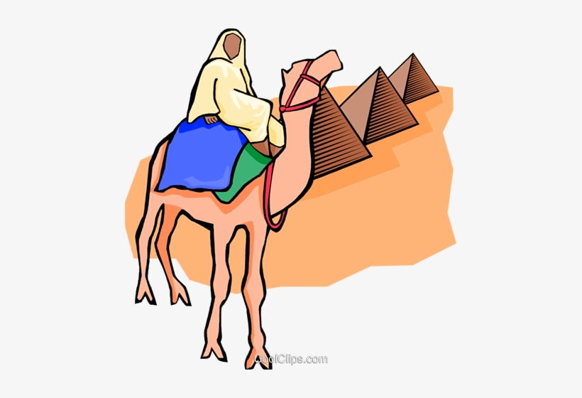 Egyptian On Camel, Pyramids Royalty Free Vector Clip, transparent png download