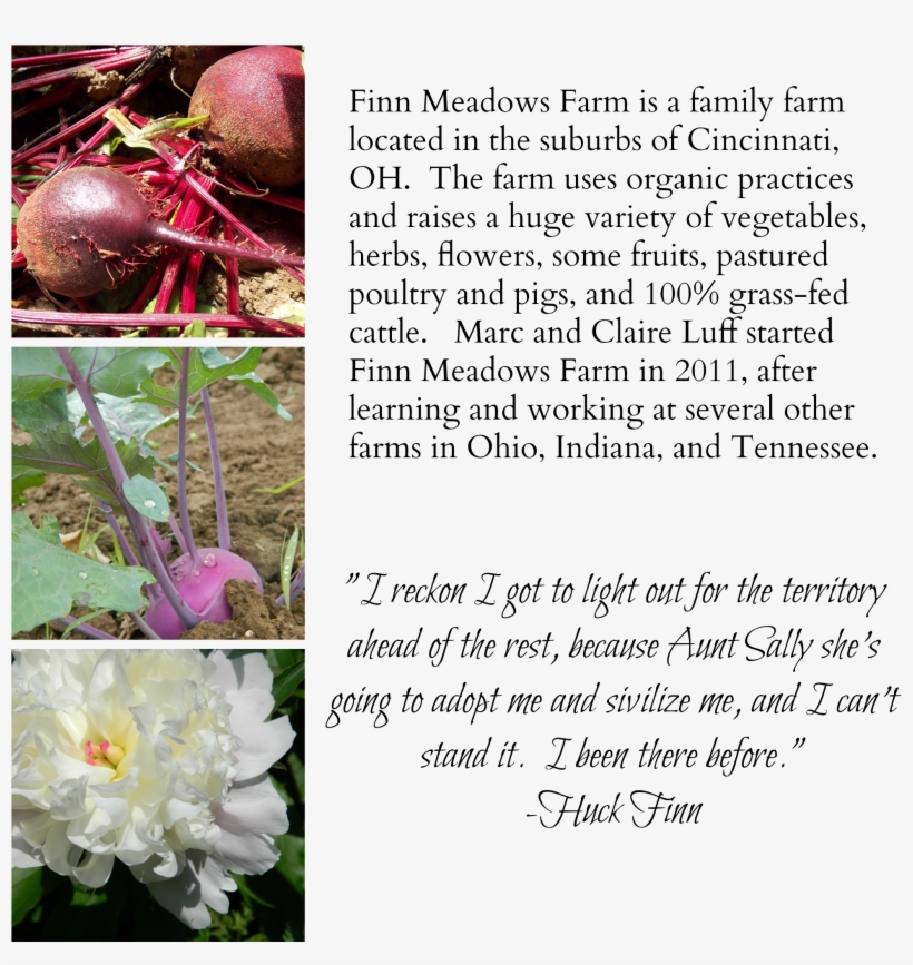 Web Experiment2 - Finn Meadows Farm, transparent png download