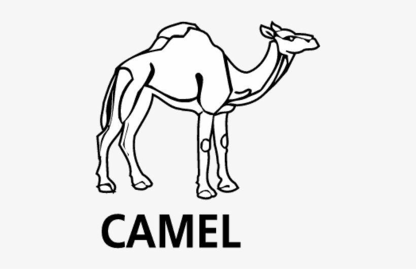 Camel Vector Logo, transparent png download