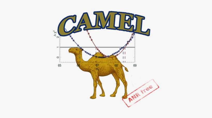 Cosmological Analysis With Minuit Exploration Of The - Camel Analysis, transparent png download