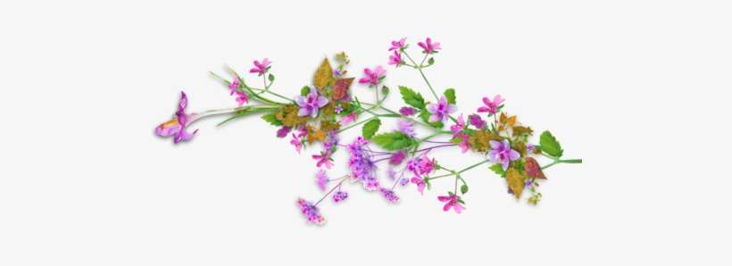 Tubes Fleurs - Page - Wildflowers Transparent Borders, transparent png download