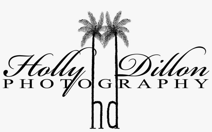 Photography Is My Hobby - Bickham Script Monogram H Note Cards (pk, transparent png download