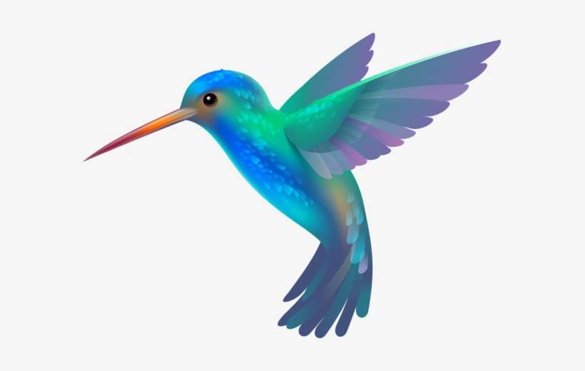 Kingfisher Bird Png Image - Hummingbird Png, transparent png download