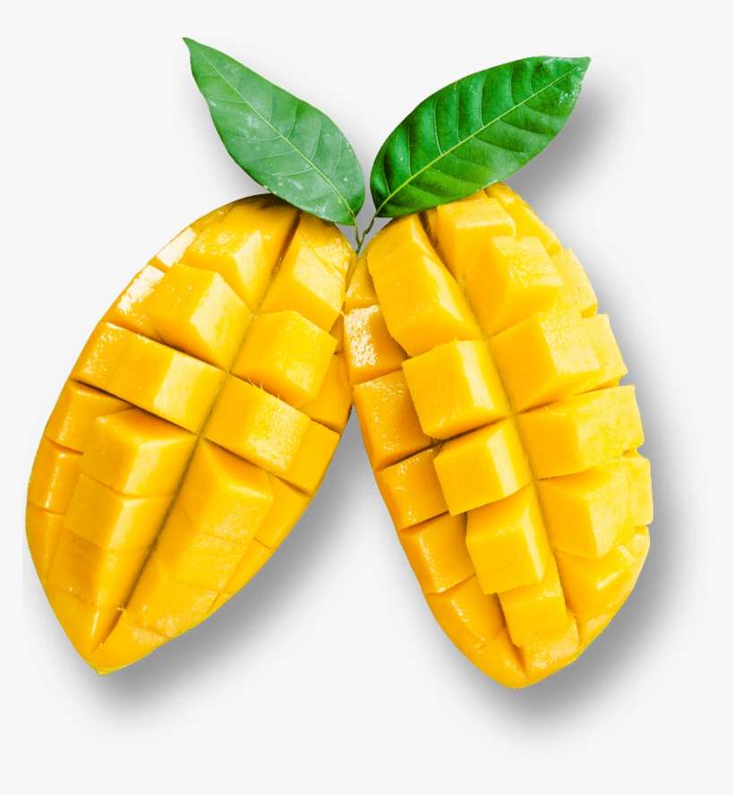 The More You Participate In Strenuous Activities, The - Mango, transparent png download