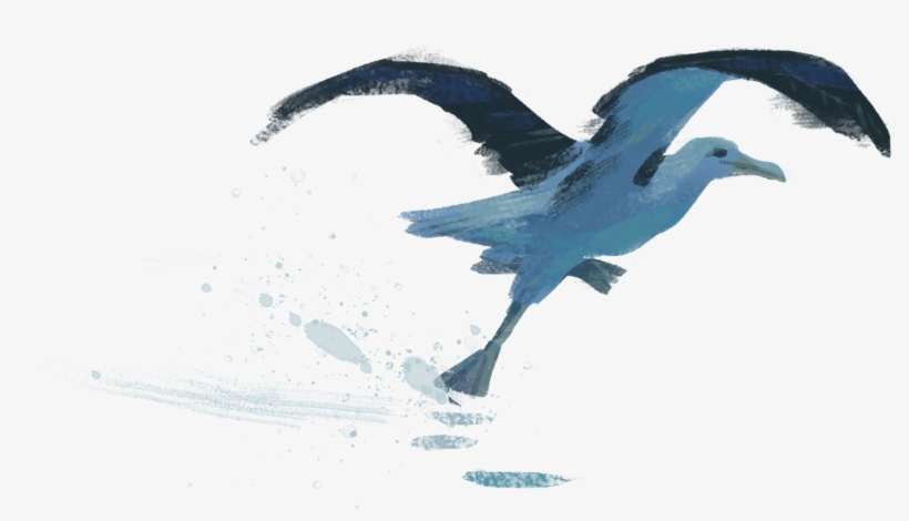 Sea Take Off - Sea, transparent png download