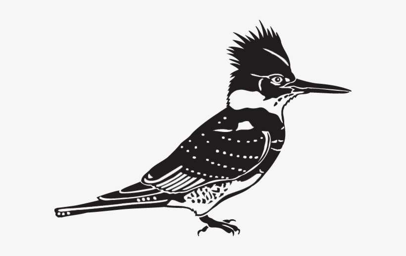 Goose Transparent Kingfisher Clip Library Stock - Gelb Und Brown-vogel Notizblock, transparent png download