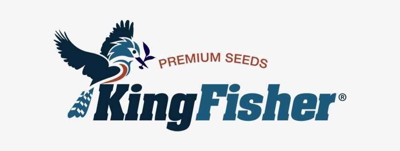 Kingfisher Logo - Kingfisher Seed Logo, transparent png download