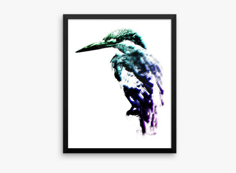Laughing Kookaburra, transparent png download