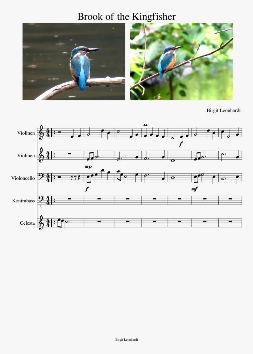 Brook Of The Kingfisher Sheet Music Composed By Birgit - Sheet Music, transparent png download