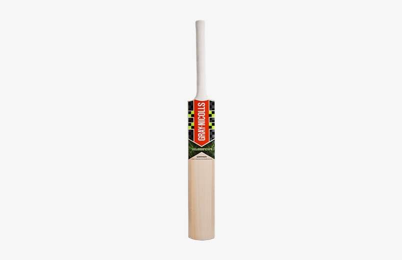 Velocity Xp 1 Warrior Cricket Bat Gray Nicolls - Gray Nicolls Ultrabow, transparent png download