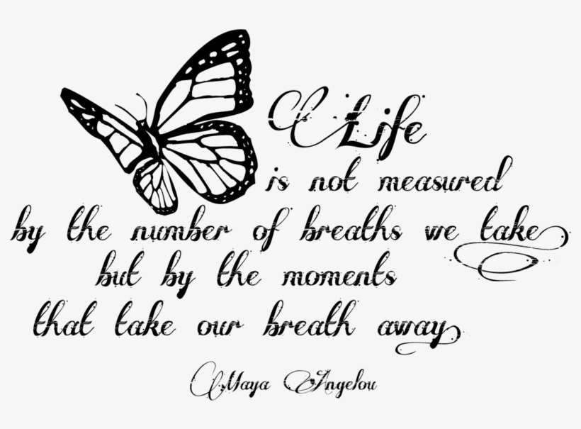 Posted By Syma At - Png Quote, transparent png download