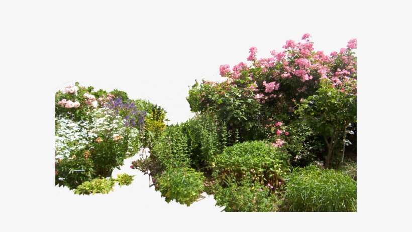 Flowered By Hermitcrabstock On Clip - Garden Png, transparent png download