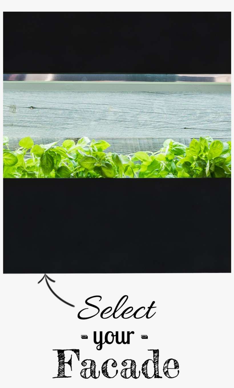The Chef's Ecowall Garden™ Comes In A Variety Of Different - Poster, transparent png download