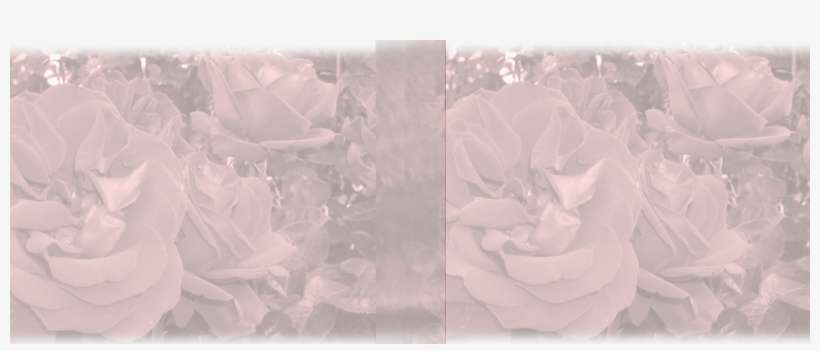 Humboldt County, California, transparent png download