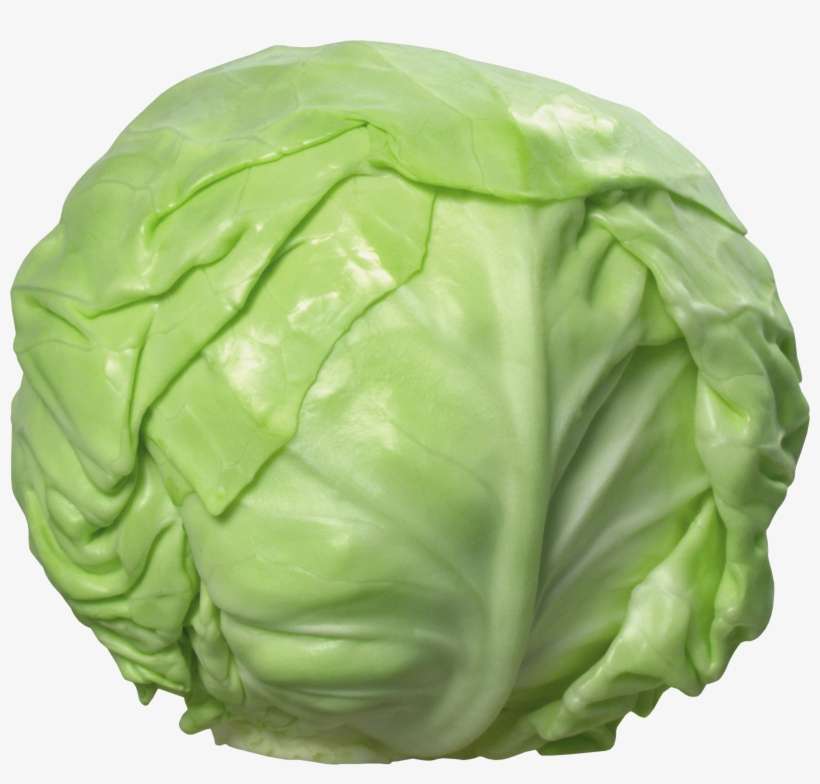 Cabbage Png Image - Cabbage Images Png, transparent png download