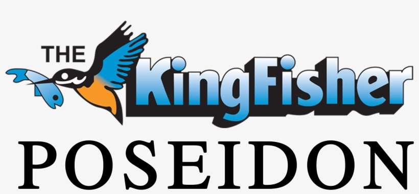 Kingfisher Durban, transparent png download