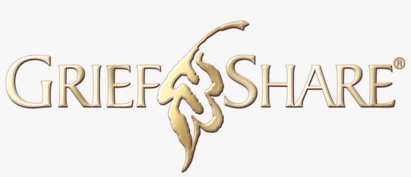 Player Error - Grief Share, transparent png download