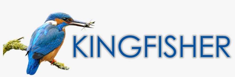 Kingfisher Logo Design, transparent png download