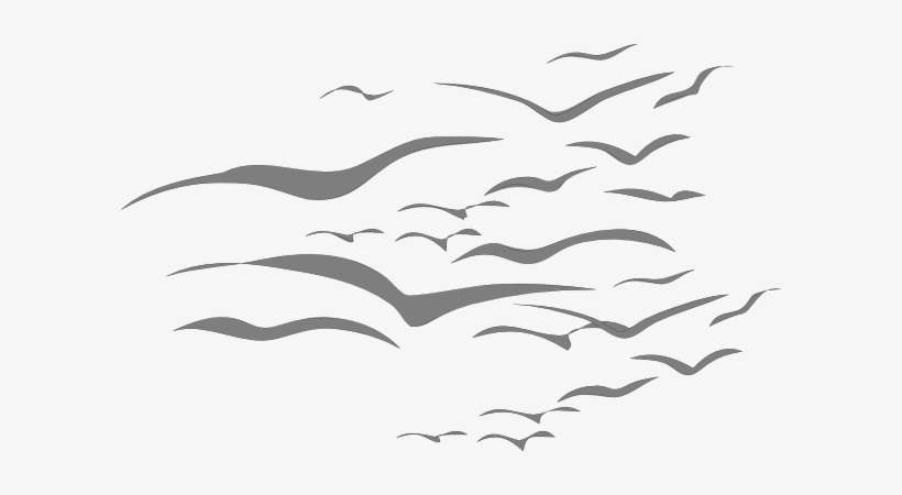 Download How To Set Use Gray Birds In Flight Svg Vector Png Image Transparent Png Free Download On Seekpng