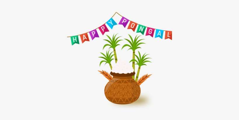 Commercial Use Happy Pongal Wishes, Happy Pongal, Wish - Thai Pongal Images Png, transparent png download