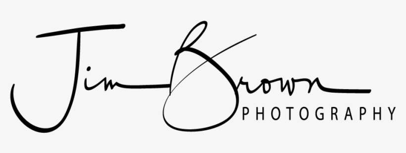 New Luxury Wedding Album - Calligraphy, transparent png download